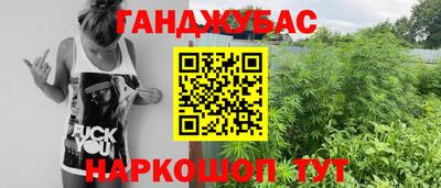 крисы Заводоуковск