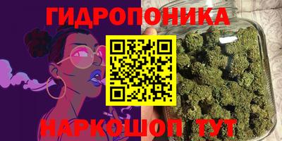 крисы Заводоуковск