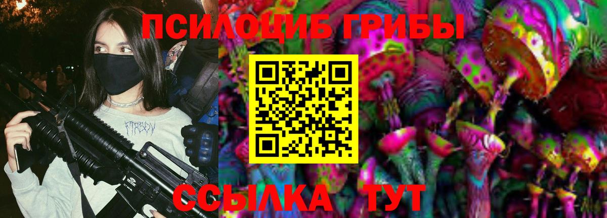 Галлюциногенные грибы мицелий Майкоп