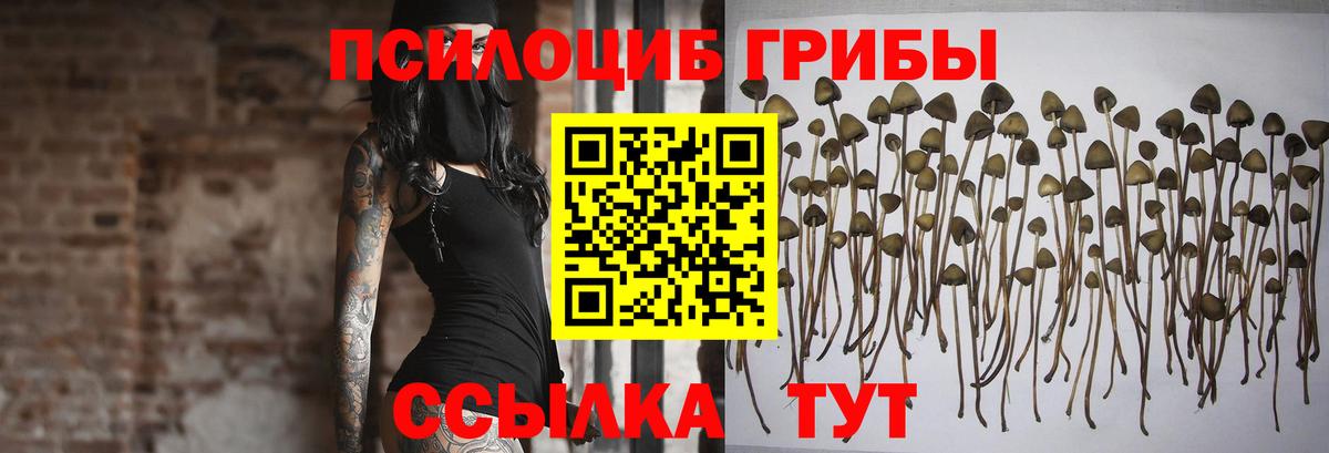 Галлюциногенные грибы мицелий  Вход с VPN  Майкоп  даркнет сайт  Галлюциногенные грибы мухоморы 